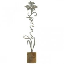 Artikel Metalen sierbloem houten standaard belettering Spring 6x9,5x39,5cm