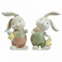 Decoratiefiguren decoratie konijn konijn kinderen met kuikens H11cm 2st