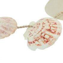 Artikel Decoratieve hanger maritieme schelpendecoratie naturel Ø5–10cm 70cm
