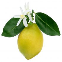 Decoratief fruit, citroenen met blaadjes geel 9.5cm 4st