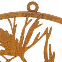 Artikel Decoratieve metalen ring, wanddecoratie van verweerd staal, dennentak, Ø38cm