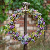 Decoratieve ring om op te hangen, raamdecoratie, wanddecoratie natuurlijke kleuren Ø30cm 4st
