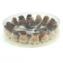 Artikel Decoratieve vogels 9cm op draad 16 st