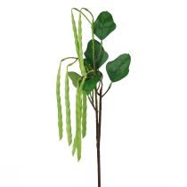 Artikel Decoratieve bonentak kunstplant groen 68cm