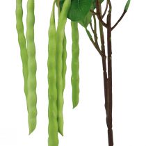 Artikel Decoratieve bonentak kunstplant groen 68cm