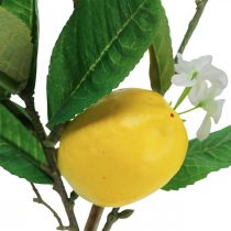 Decoratieve citroentak met bloemen en vruchten H68cm