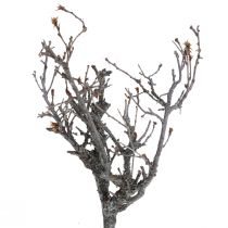 Deco takken bonsaihout deco takken 15-30cm 650g