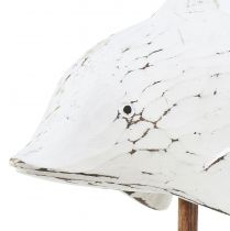 Artikel Dolfijn decoratie Albasia Maritieme houten decoratie wit 28×6,5×26cm