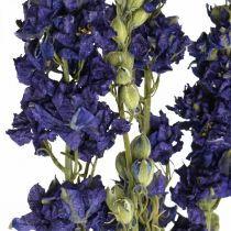 Gedroogd delphinium, droge bloemisterij, delphinium blauw L64cm 25g