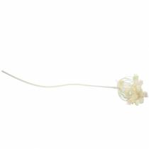 Artikel Dille wit gesneeuwd 117cm