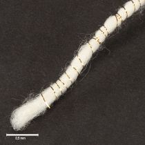 Artikel Wollen koord wit met gouden draad 5m x 5mm met draad voor decoratie en knutselen