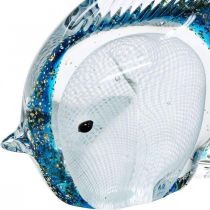Doktervisfiguur van glas met glitter 14cm