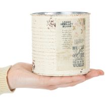 Artikel Blikken plantenbak, crèmekleurig metaal, shabby chic, Ø11cm H10.5cm