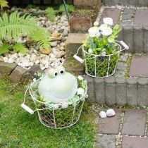 Artikel Decoratieve draadmanden als decoratieve oplossing voor een creatieve tuininrichting, 30 cm, 1 set
