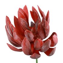 Succulent Echeveria Kunst Groene Planten Rood Ø12cm 19,5cm