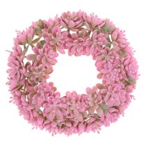Echeveria krans roze Ø18cm 4st
