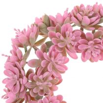 Echeveria krans roze Ø18cm 4st