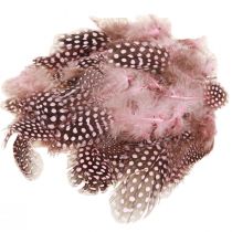 Artikel Echte parelhoenveren roze met stippen 4-12cm 100 stuks