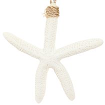 Artikel Echte zeesterdecoratie maritieme hanger grijs wit 10-14cm 4st