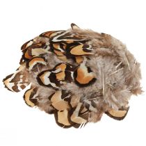 Artikel Echte vogelveren decoratieve veren gestreept 3-4cm 60 st