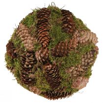 Artikel Decoratieve bal van echte kegels met mos natuurlijke decoratie Ø25cm H25cm