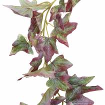 Klimopslinger Groen, Bordeaux 182.5cm
