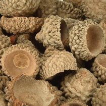 Artikel Eikeldoppen natuurlijke decoratieve eikels om te knutselen 1,5cm 200g