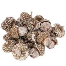 Artikel Eikels, natuurlijk decoratief product, witgekalkt, 1-3 cm, 300 g