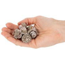 Artikel Eikels, natuurlijk decoratief product, witgekalkt, 1-3 cm, 300 g