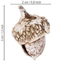 Artikel Eikels, natuurlijk decoratief product, witgekalkt, 1-3 cm, 300 g