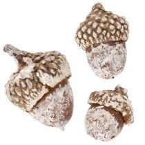 Artikel Eikels, natuurlijk decoratief product, witgekalkt, 1-3 cm, 300 g
