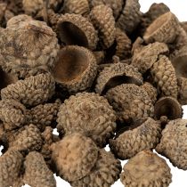 Artikel Natuurlijke eikelkapjes, decoratieve schalen voor de herfst en advent, 2 cm, 300 g
