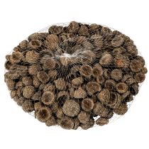 Artikel Natuurlijke eikelkapjes, decoratieve schalen voor de herfst en advent, 2 cm, 300 g