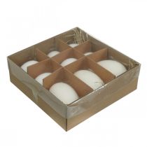 Artikel Zwaneneieren &amp; kippeneieren mix uitgeblazen eieren wit 5,5/8cm 9 stuks