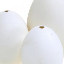 Artikel Zwaneneieren &amp; kippeneieren mix uitgeblazen eieren wit 5,5/8cm 9 stuks