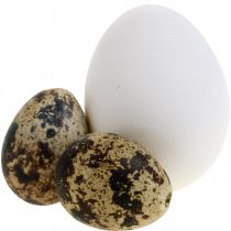 Decoratie eiermix kwarteleitjes &amp; kippeneieren Uitgeblazen paaseieren