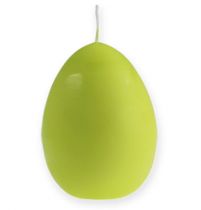 Eikaars limoen 14cm