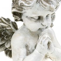 Bidden engel, begrafenis bloemisterij, buste van engel figuur, grafdecoratie H19cm B19.5cm