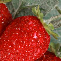 Artikel Aardbeiendecoratie Kunstaardbeien L23cm 1 Bos 6st