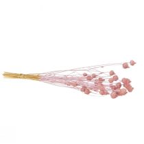 Artikel Aardbeidistel, gedroogde distel, disteldecoratie, lichtroze, 58 cm, 100 g