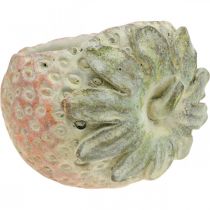 Artikel Decoratieve aardbei, plantenpot, betonnen decoratie voor opplant L17cm