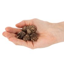 Artikel Elzenkegels, natuurlijk product voor decoratie en knutselen, goudkleurig, 3 cm, 300 g