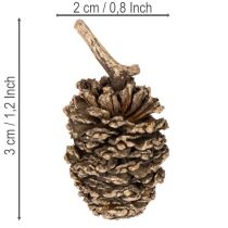 Artikel Elzenkegels, natuurlijk product voor decoratie en knutselen, goudkleurig, 3 cm, 300 g