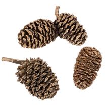 Artikel Elzenkegels, natuurlijk product voor decoratie en knutselen, goudkleurig, 3 cm, 300 g