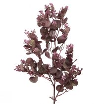 Artikel Decoratieve kunsttak Eucalyptustak bordeaux 66cm 2st