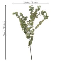 Artikel Geconserveerde decoratieve eucalyptus takken en bladeren, ronde gedroogde decoratie, groen, 150 g