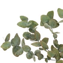 Artikel Geconserveerde decoratieve eucalyptus takken en bladeren, ronde gedroogde decoratie, groen, 150 g