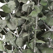 Artikel Eucalyptus Geconserveerde Takken Bladeren Rond Groen 150g