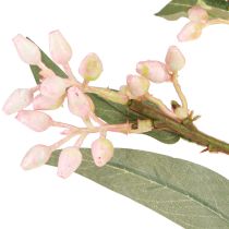 Artikel Eucalyptus Kunstmatige Tak Bladeren Knoppen 75cm 2st