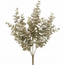 Artikel Eucalyptus tak kunst goud besneeuwde Eucalyptus kerstdecoratie 36cm